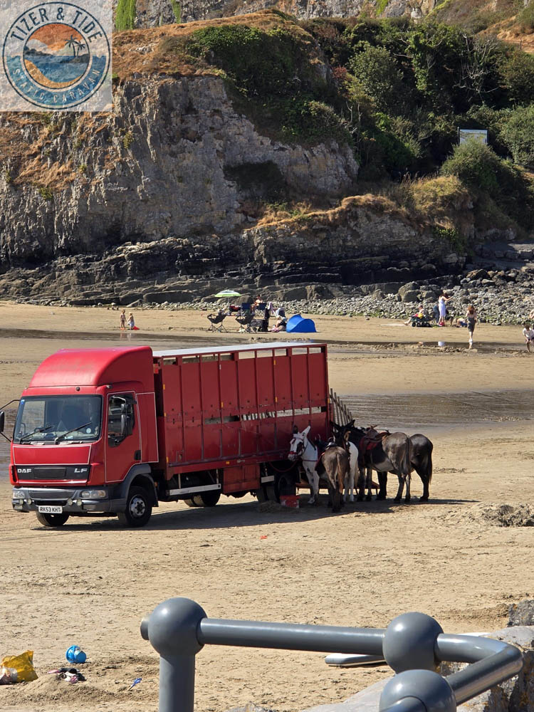 Vehicles and dogs out on the firm sand at Pendine